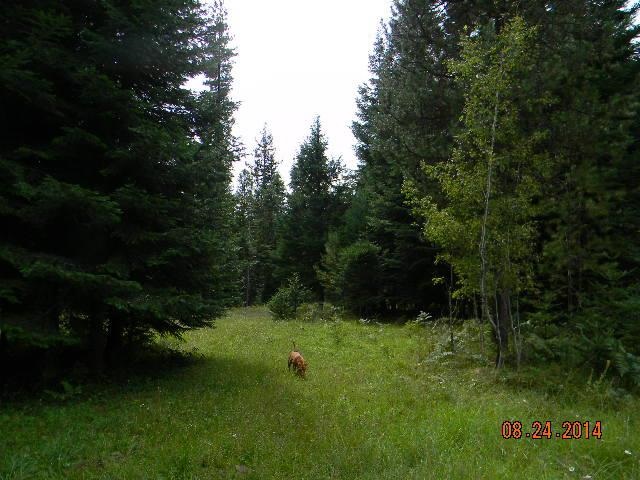 323 Conklin Meadows Road - Photo 15