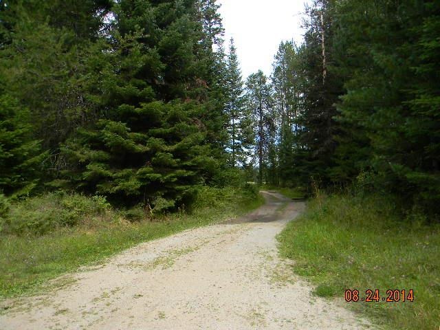 323 Conklin Meadows Road - Photo 16