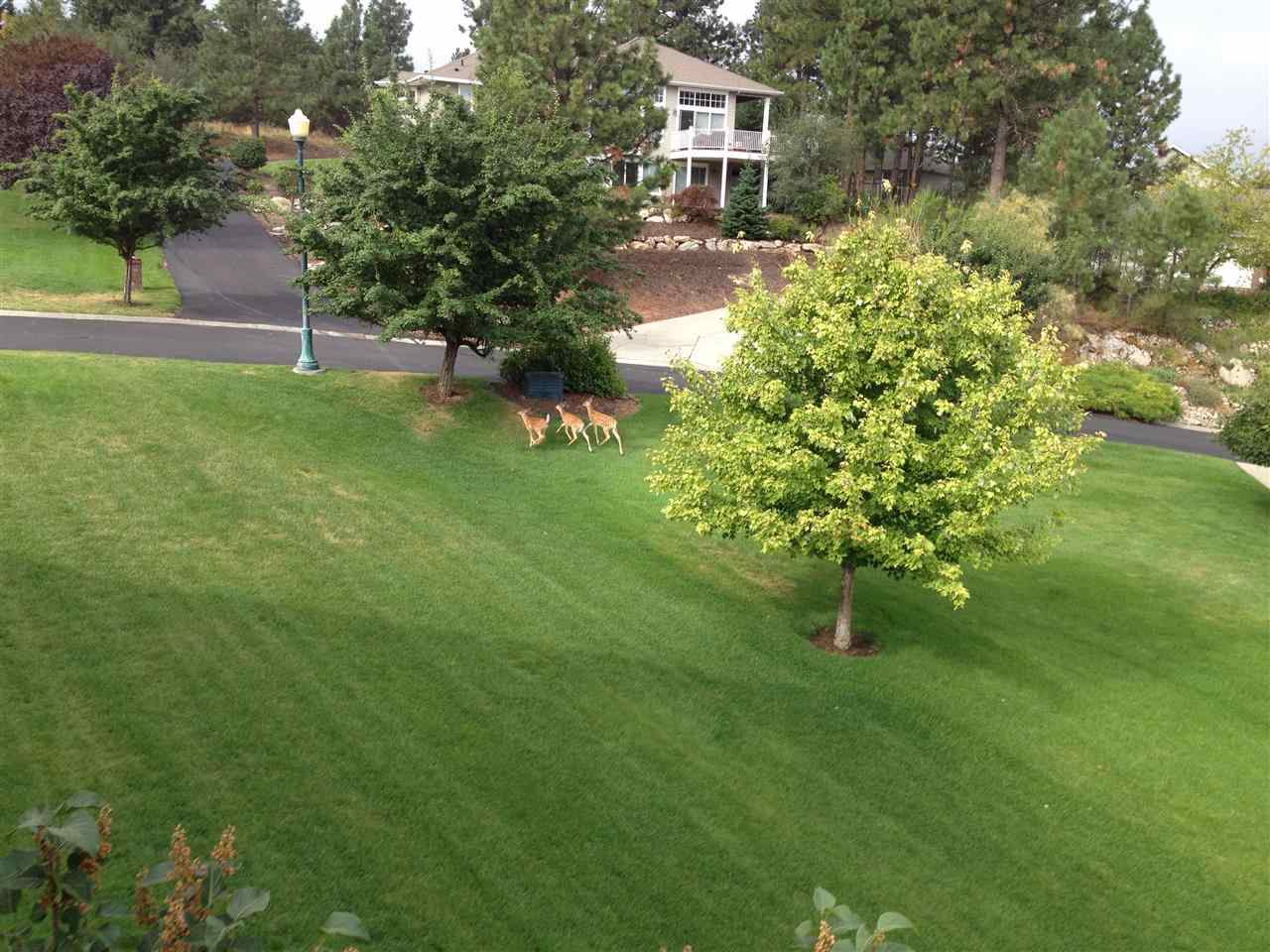4715 E Tamarisk Ln - Photo 20