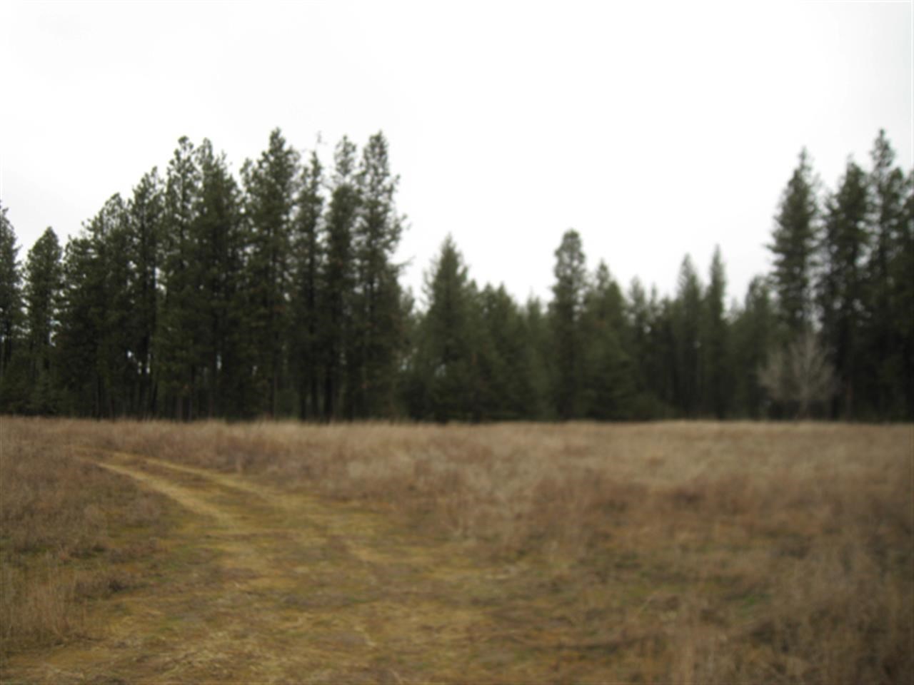 11912 S Sherman Rd - Photo 5