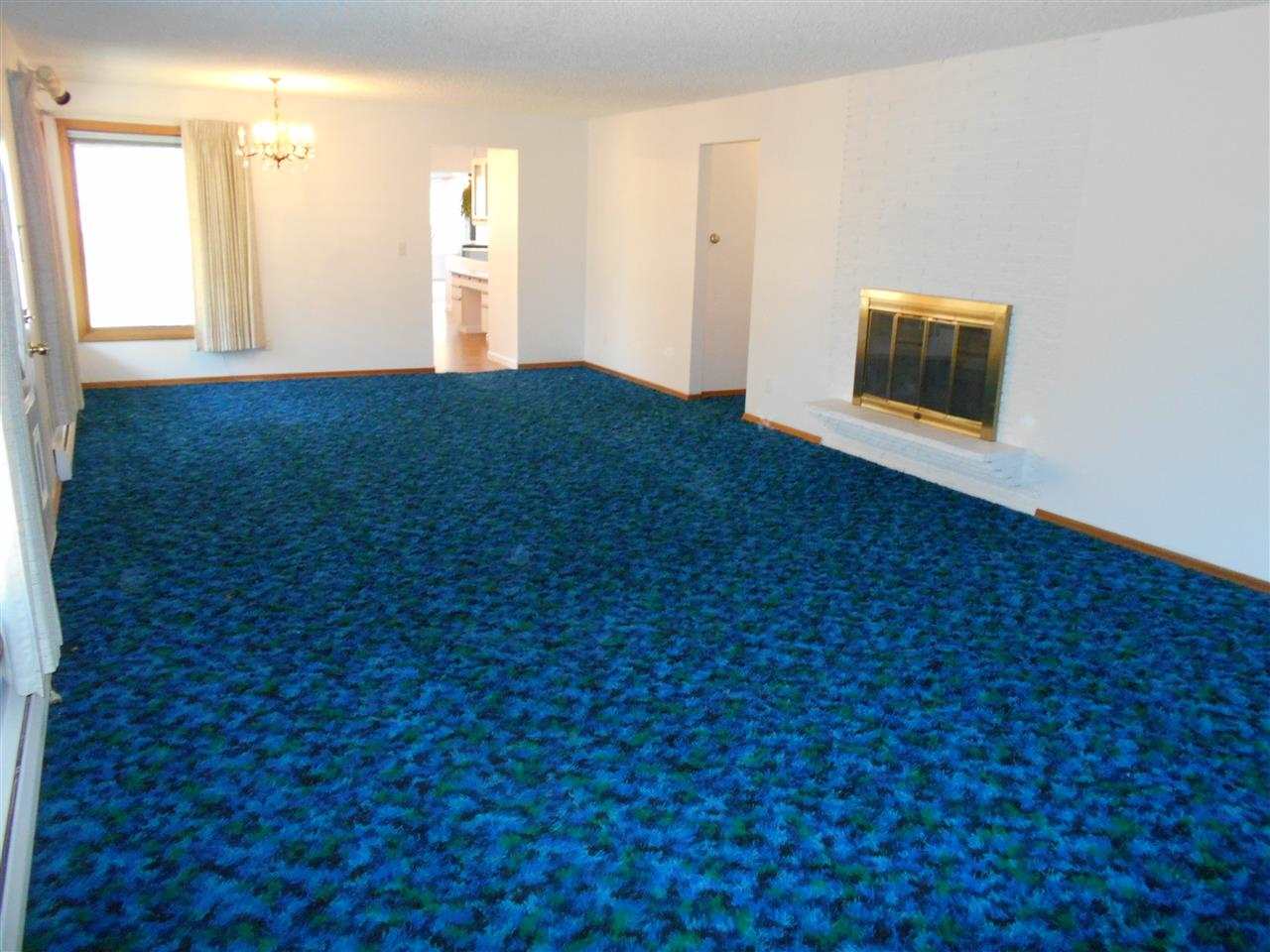 17902 N Palomino Rd - Photo 7