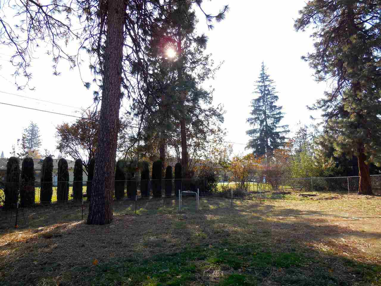 1919 W Kiernan Ave - Photo 17