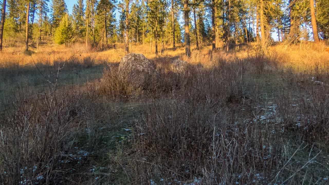 3226 Flyckt Rd - Photo 11