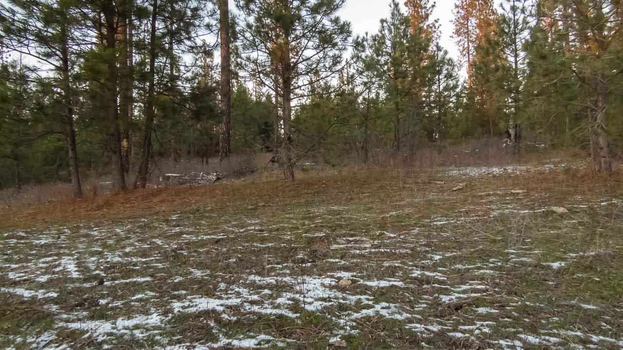 3226 Flyckt Rd - Photo 12