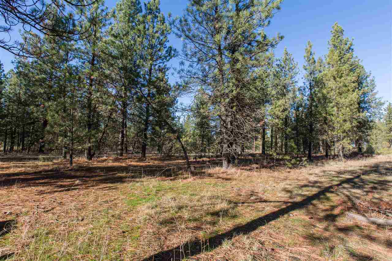 21602 S Koski Park Ln - Photo 19