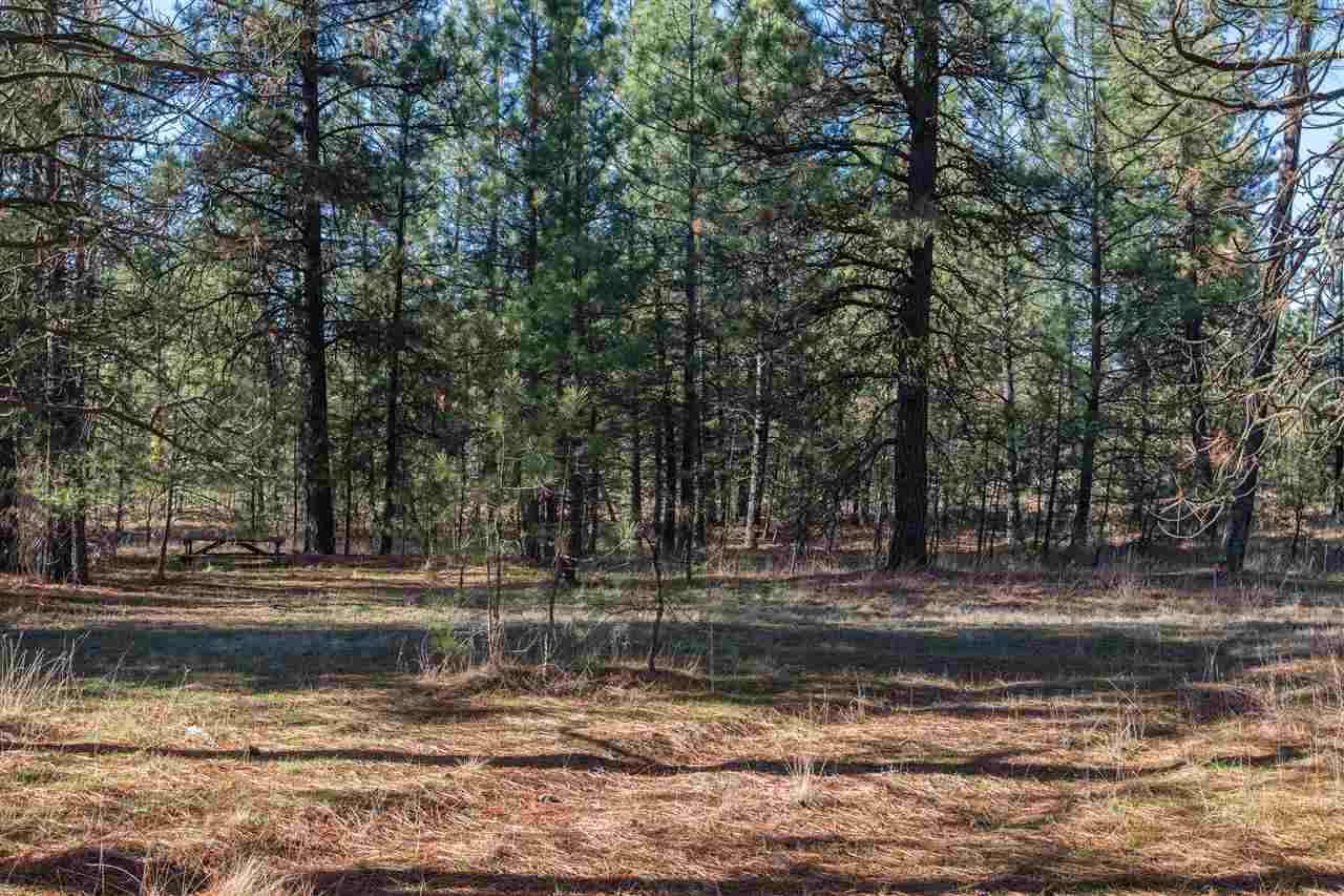 21602 S Koski Park Ln - Photo 20