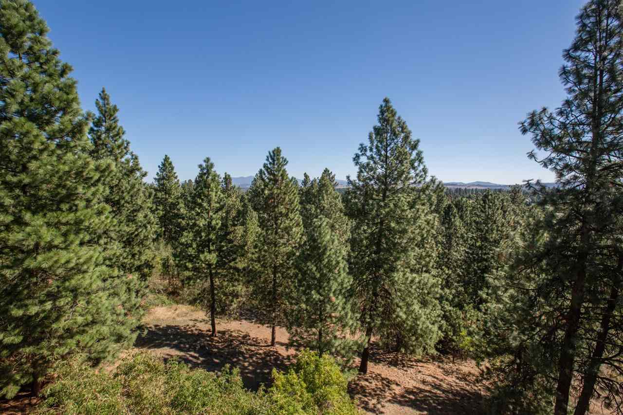 7620 N Cedar Rd - Photo 17