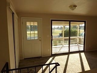 903 E Central Ave - Photo 7