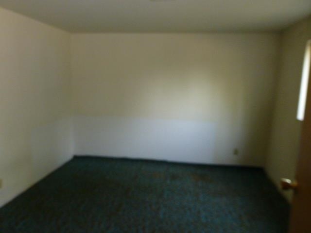 5820 Fertile Valley Rd - Photo 11