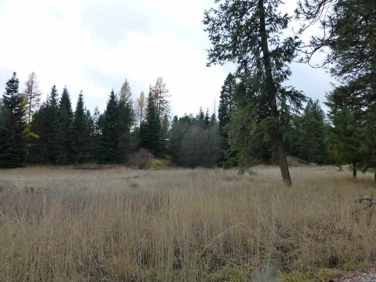 4229E Hesseltine Rd - Photo 17