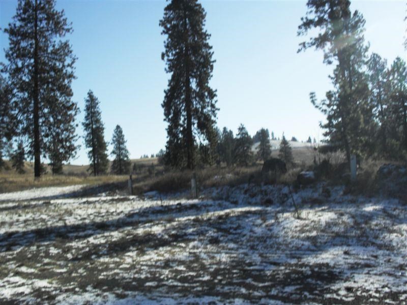 797 Kitt Narcisse Rd - Photo 17