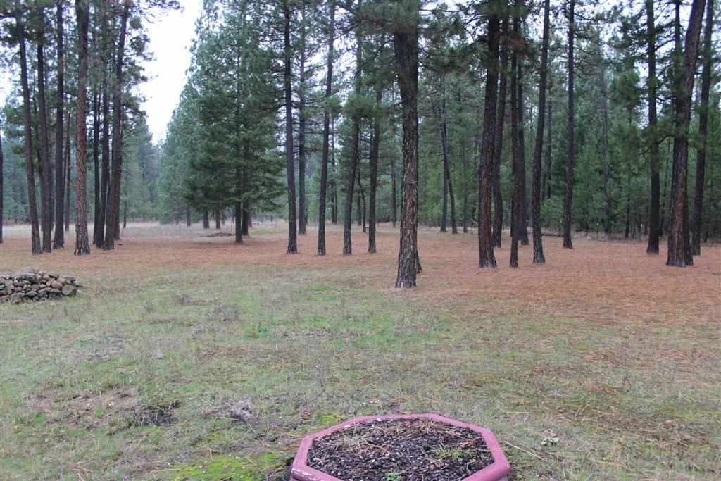 4413-A Drum Rd - Photo 14
