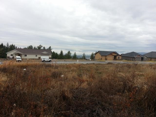 9123 N Scarlet Sky - Photo 4