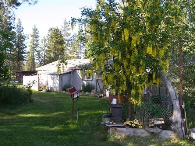 3770 S HWY 395 - Photo 1