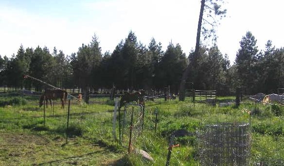 3770 S HWY 395 - Photo 18