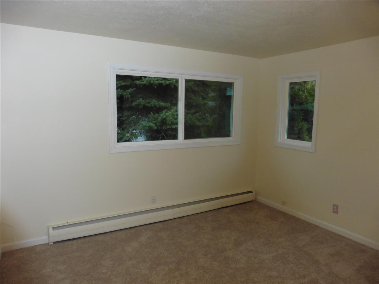 3711 W Woodside Ave - Photo 12