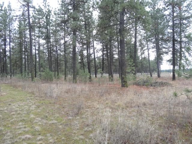 3403 W Smythe Rd - Photo 4