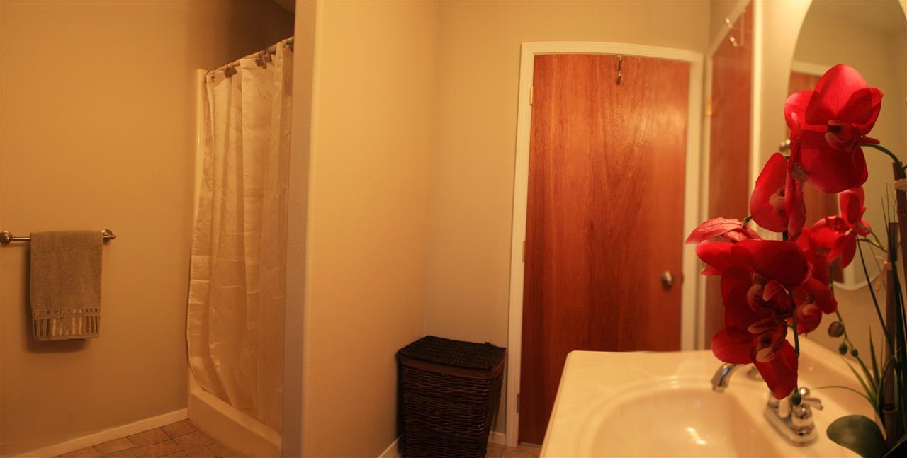 700 W Bridle Ln - Photo 13