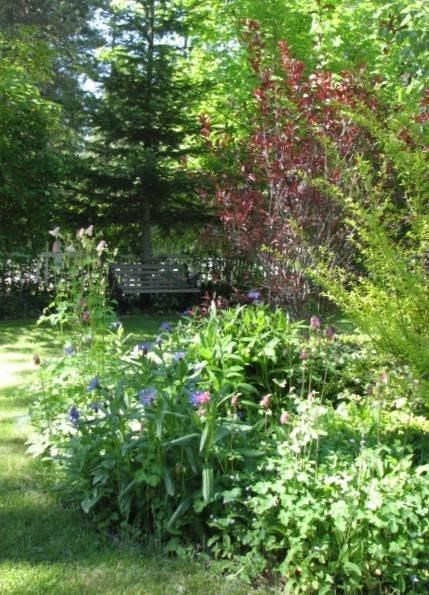 40425 Gail Rd - Photo 16