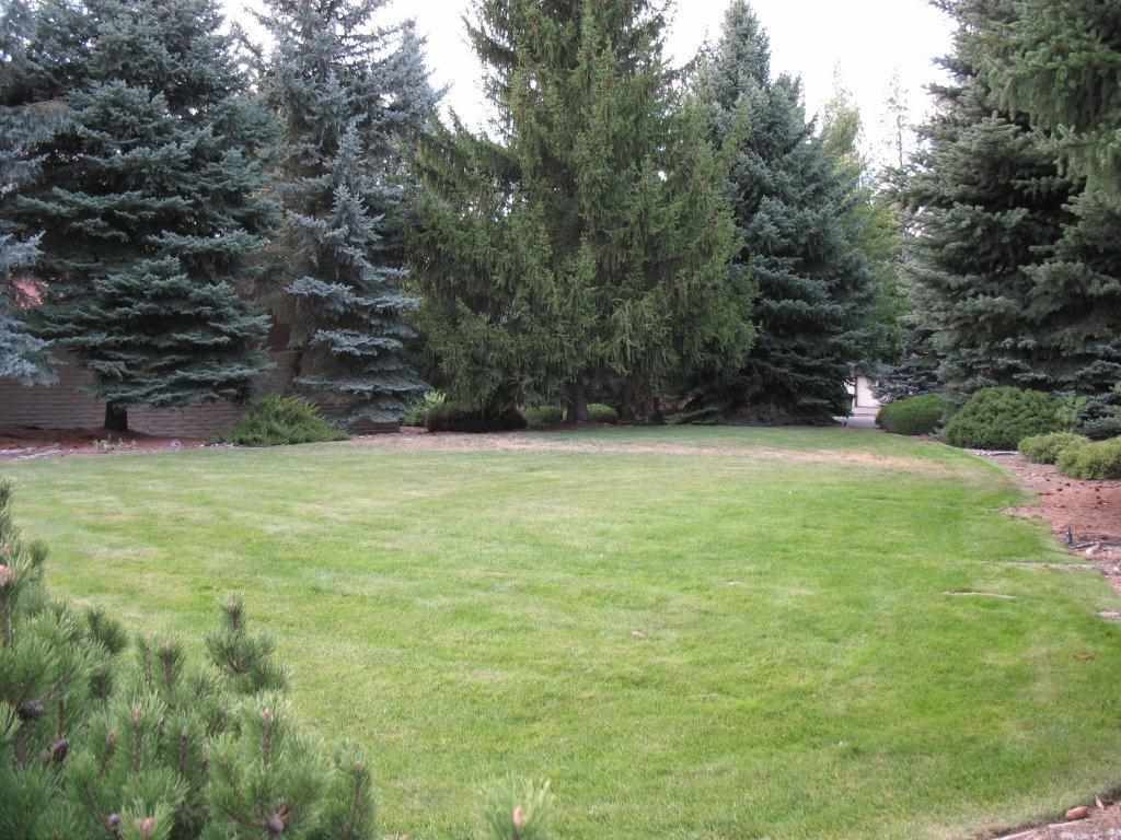 8220 N Lemon Ln - Photo 20