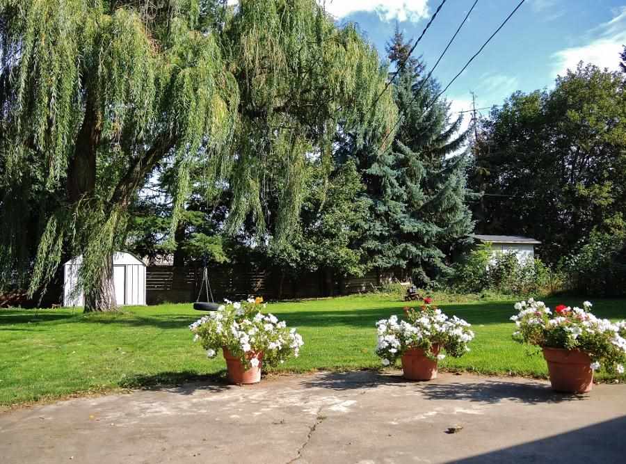503 S Fox Rd - Photo 17