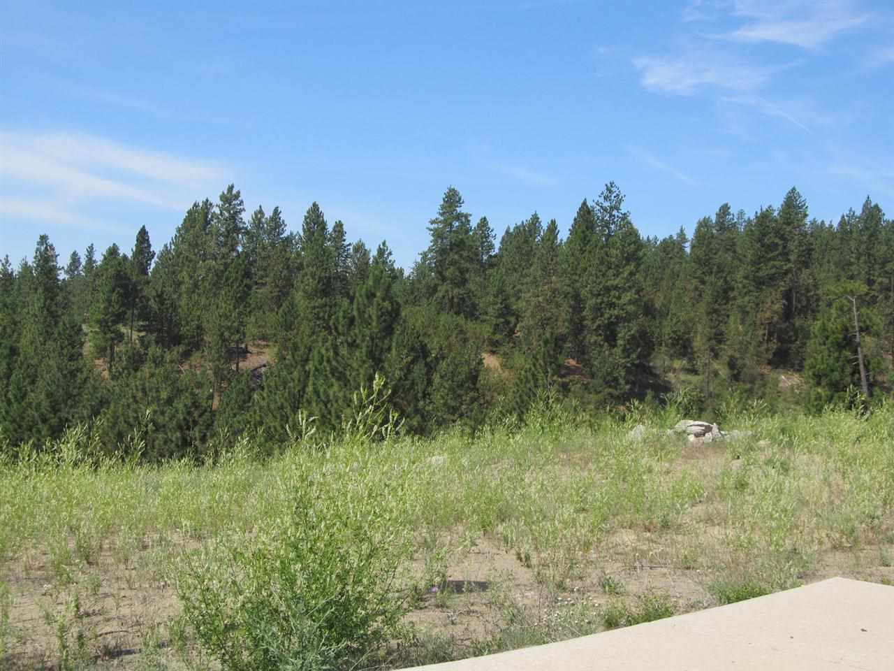 5025 N Emerald Ln - Photo 3