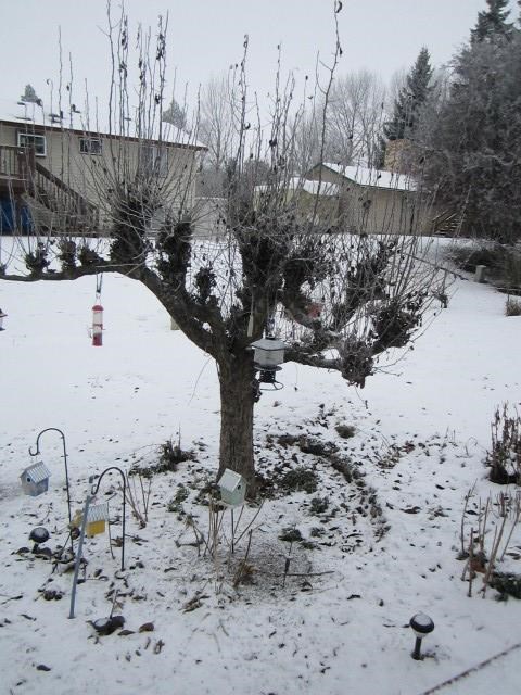 408 Presley Dr - Photo 12