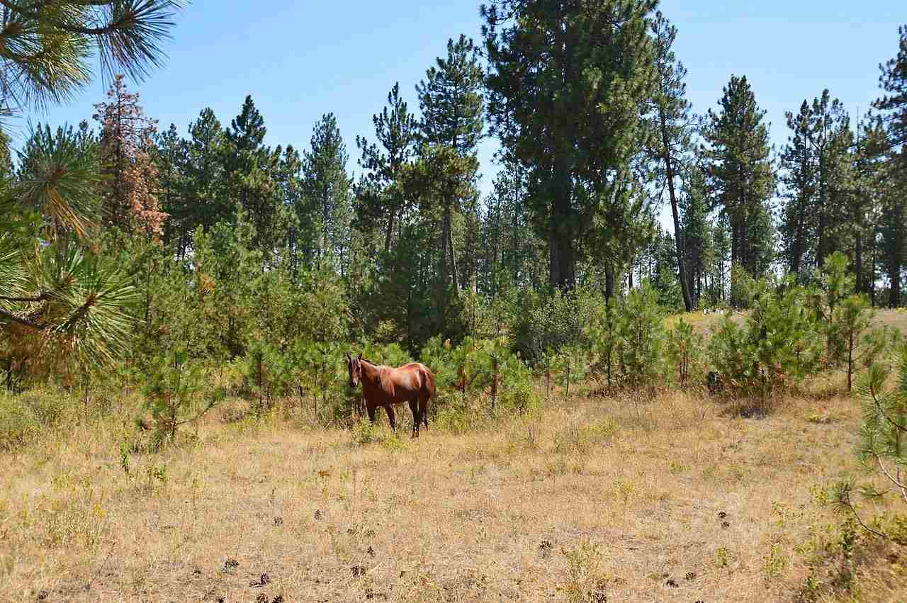18325 W Charles Rd - Photo 15