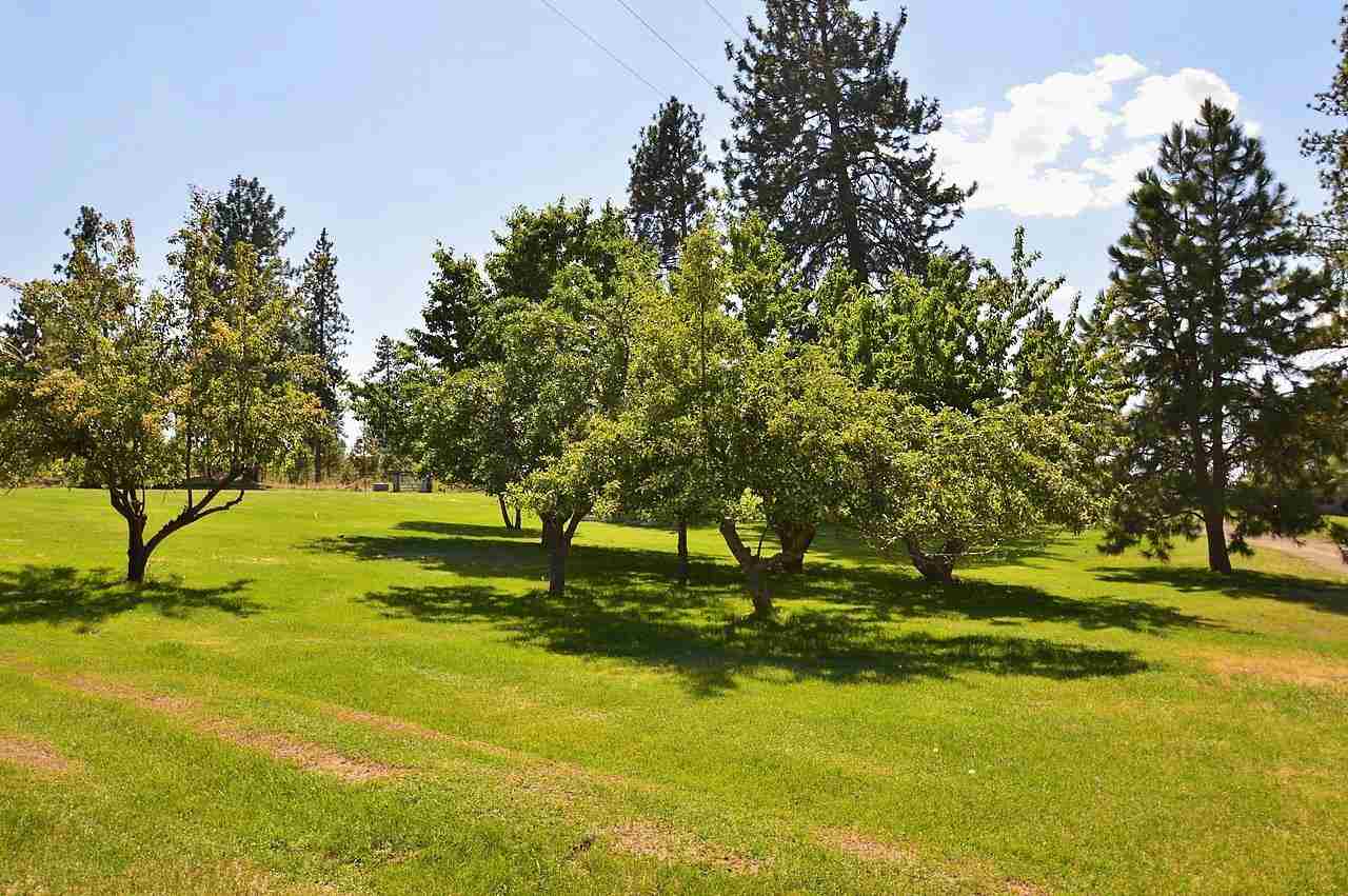 18325 W Charles Rd - Photo 19