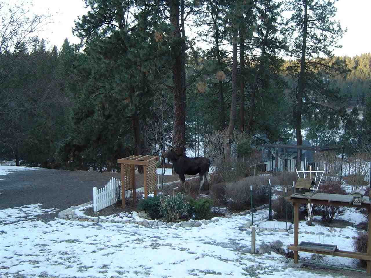 4716 S Morrow Park Rd - Photo 19