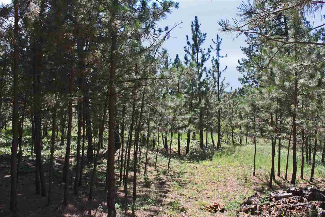 15104 E Brevier Rd - Photo 19