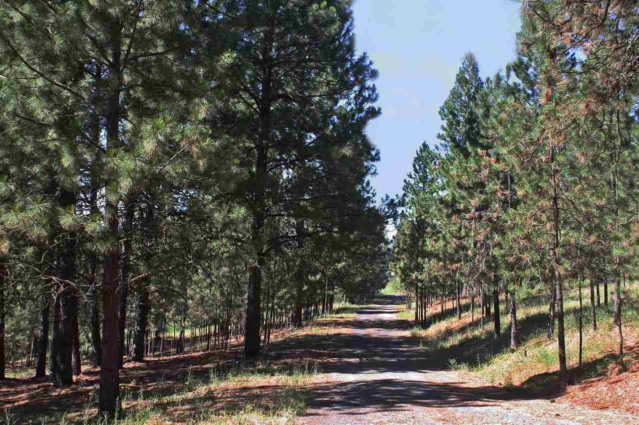 15104 E Brevier Rd - Photo 20