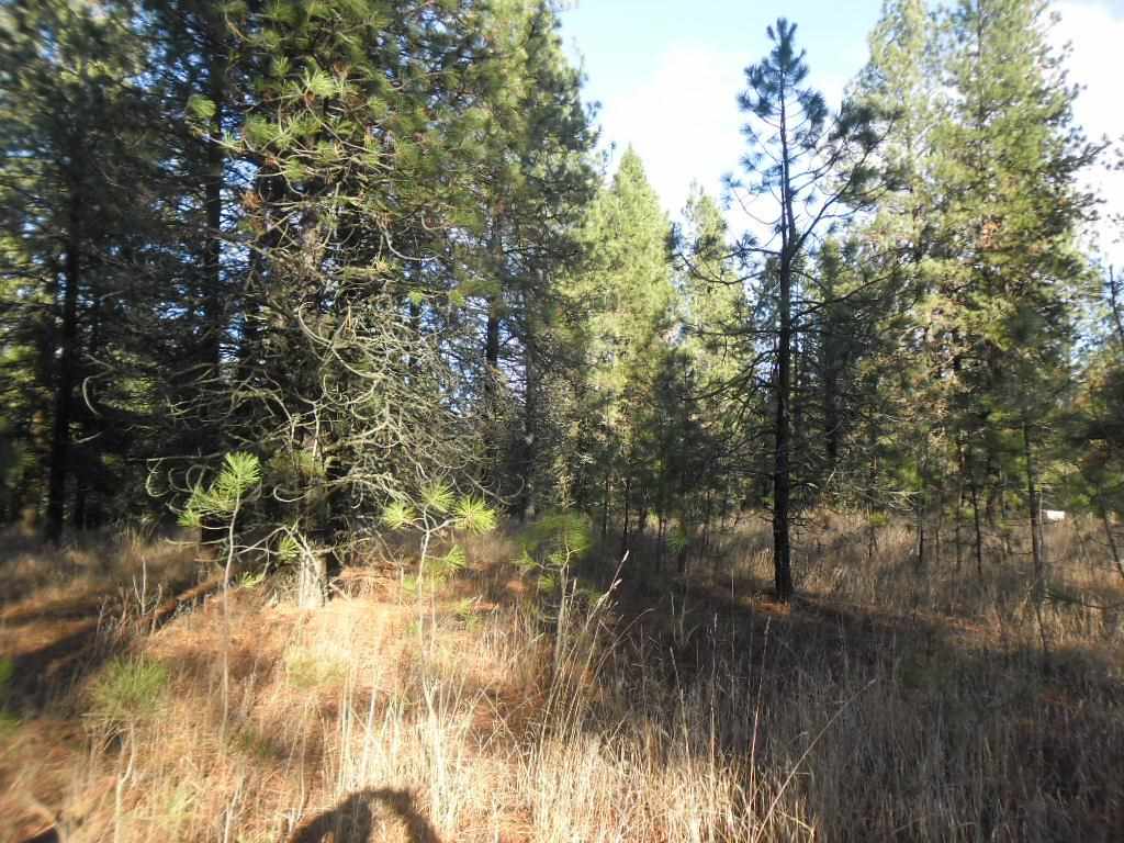 3417 E Oregon Rd - Photo 16