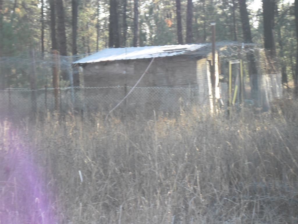 3417 E Oregon Rd - Photo 19