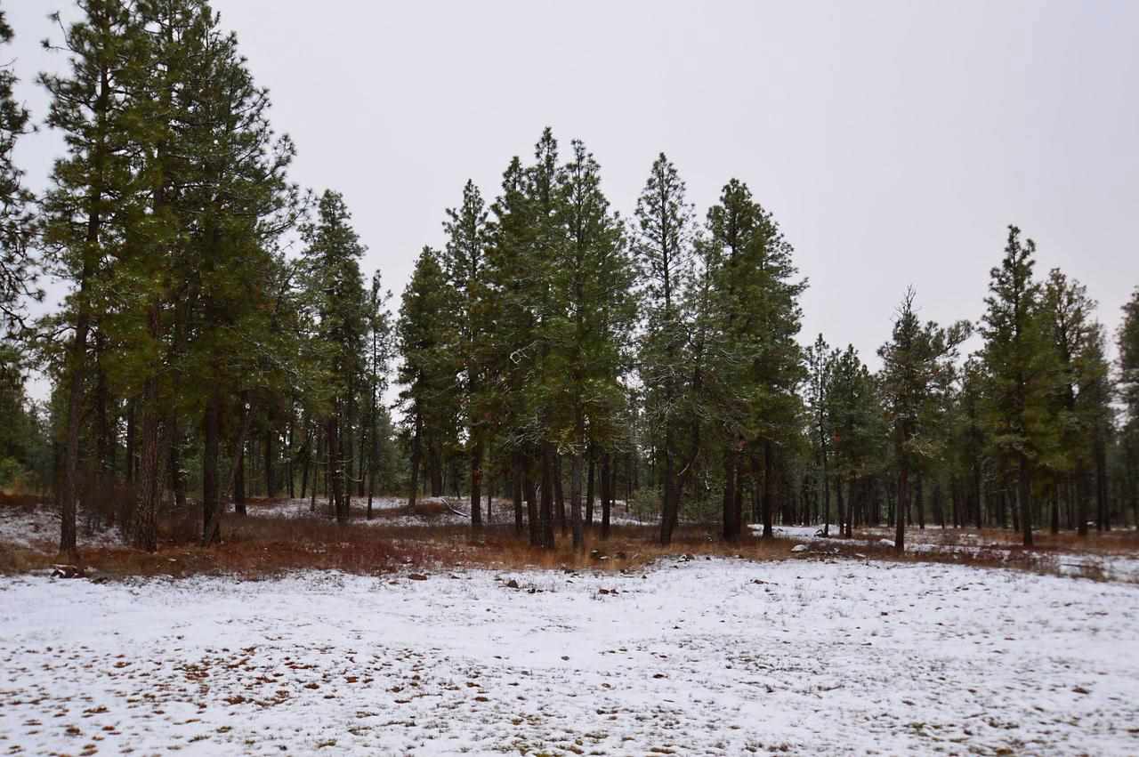19622 S Sunny Meadows Ln - Photo 8