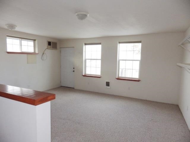 118A Blossom Ct - Photo 13