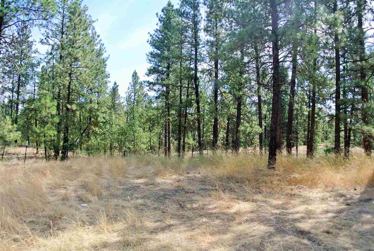 11612 N Ritchey Rd - Photo 19