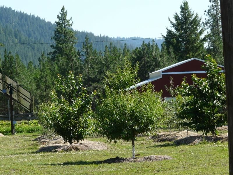 4536 HWY 231 - Photo 4