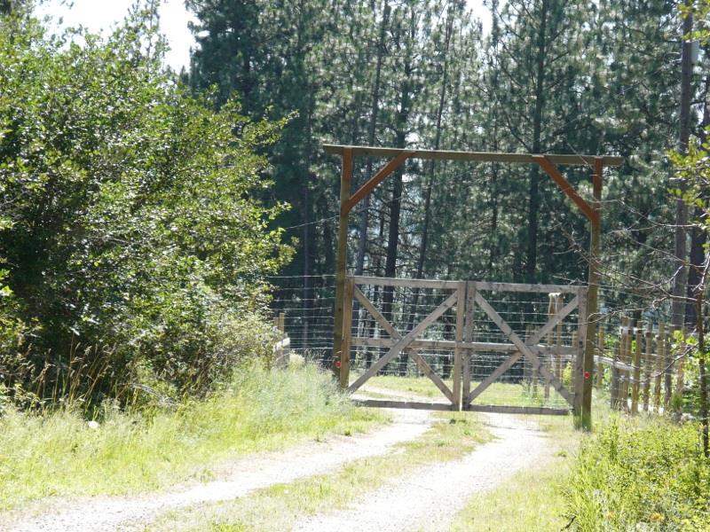 4536 HWY 231 - Photo 7