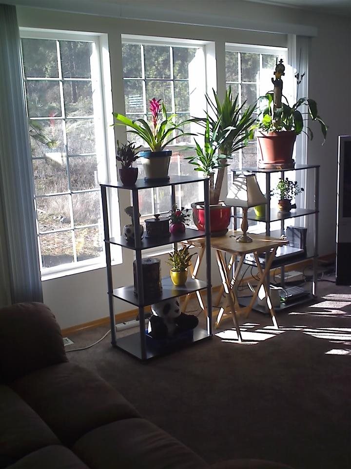 3424 W 3rd Ave - Photo 3