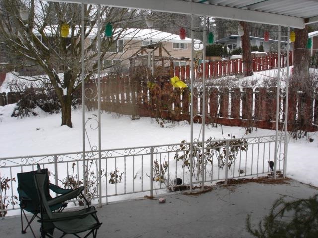 903 W Hawthorne Rd - Photo 6