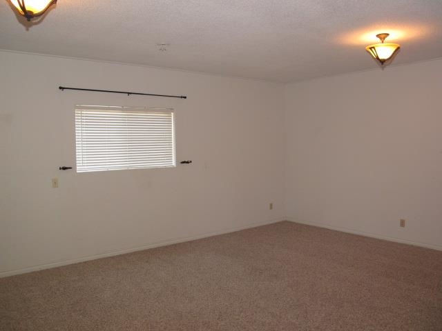 28111 W Drumheller - Photo 17