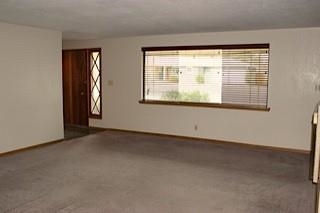 117 W 39th Ave - Photo 4
