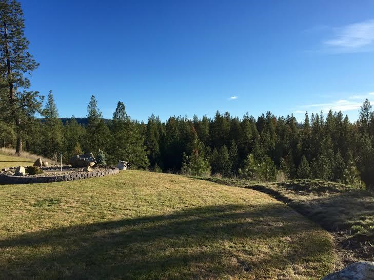 51600 Stone Ridge Trl - Photo 19