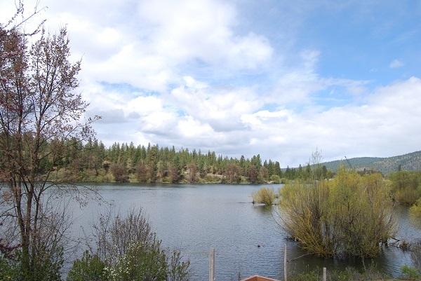 12407 N Nine Mile - Photo 18