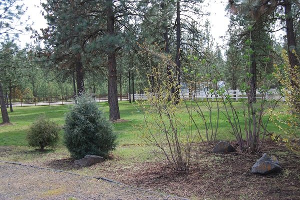 12407 N Nine Mile - Photo 19
