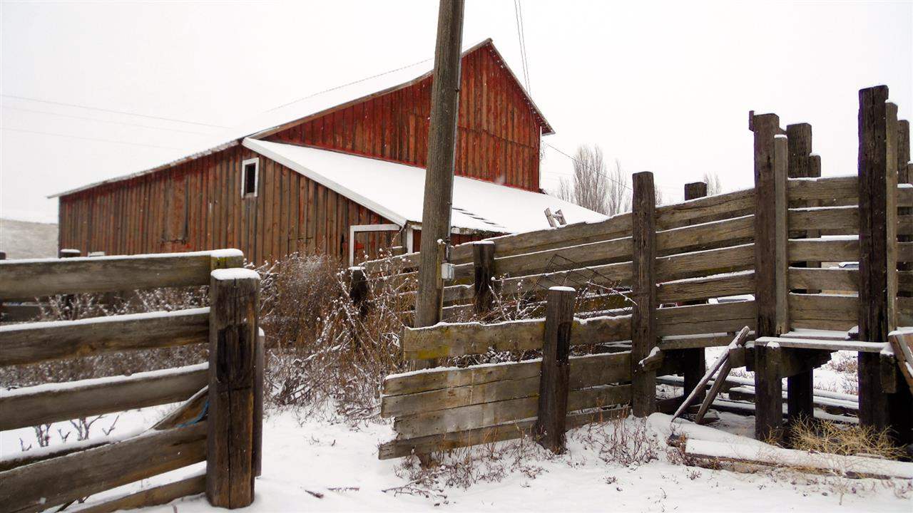 6302 Potts Rd - Photo 8
