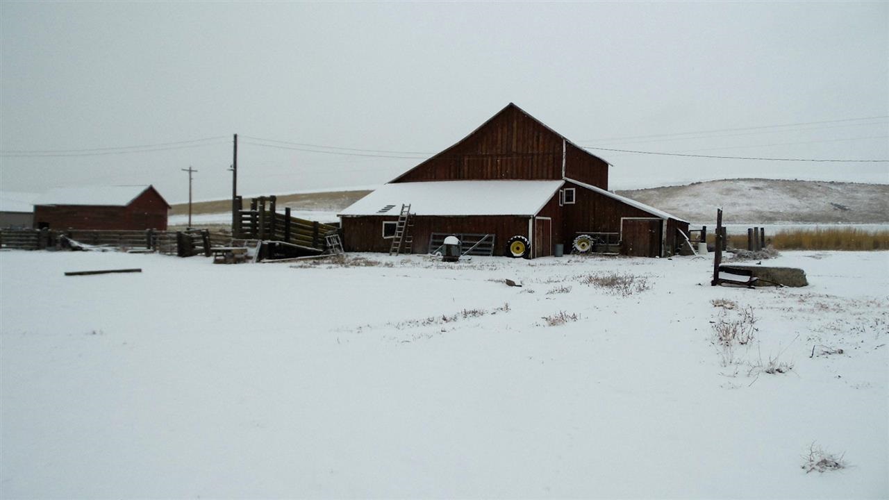 6302 Potts Rd - Photo 10
