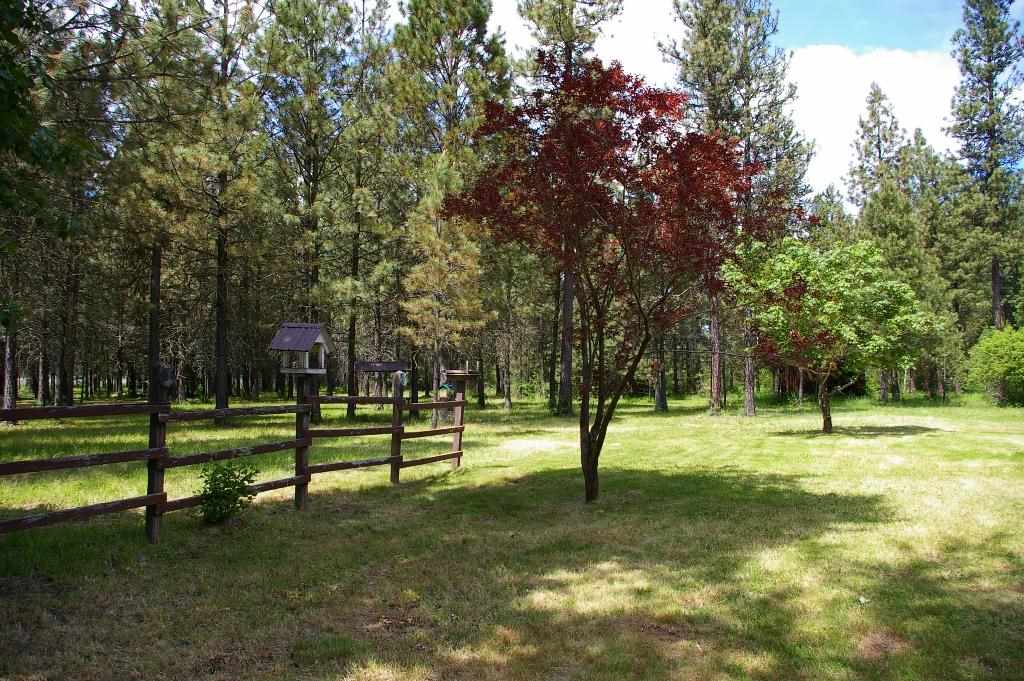 348 Beeman Rd - Photo 5
