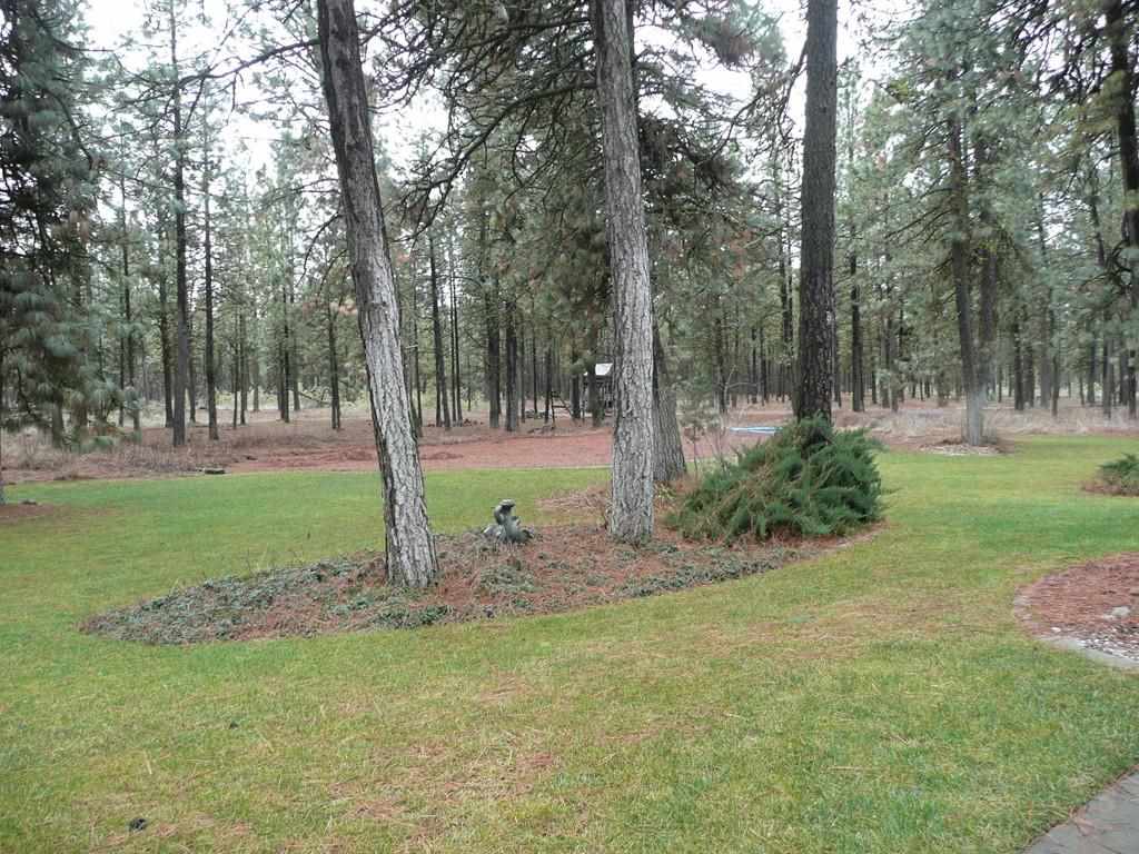 19610 S Graham Rd - Photo 18